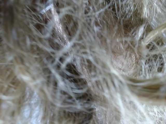 Kazsandra's BongaCams show and profile