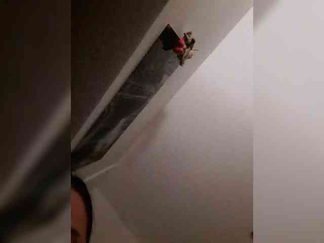 Sarayiooo webcam