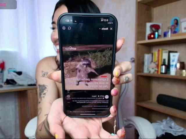 Mitsu-chan webcam