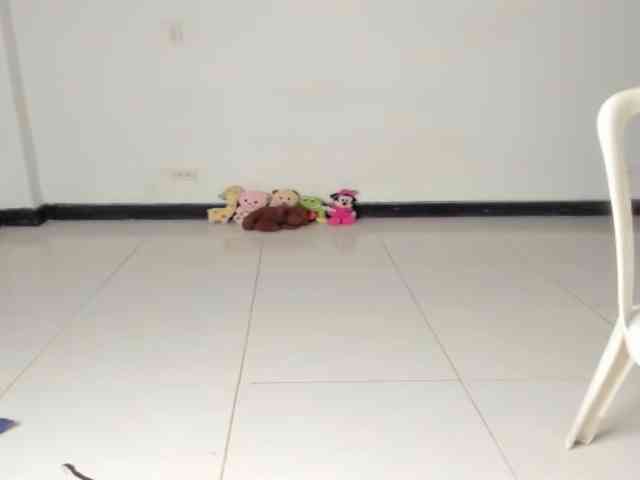 CarolinnaGomez webcam