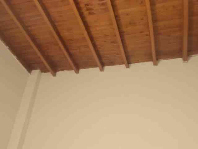 CarolinnaGomez webcam