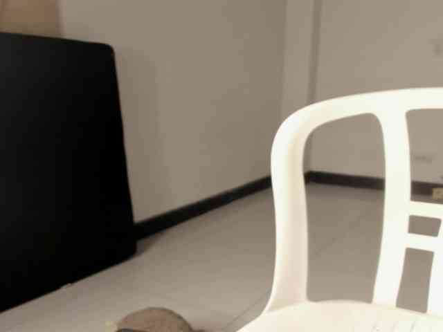 CarolinnaGomez webcam