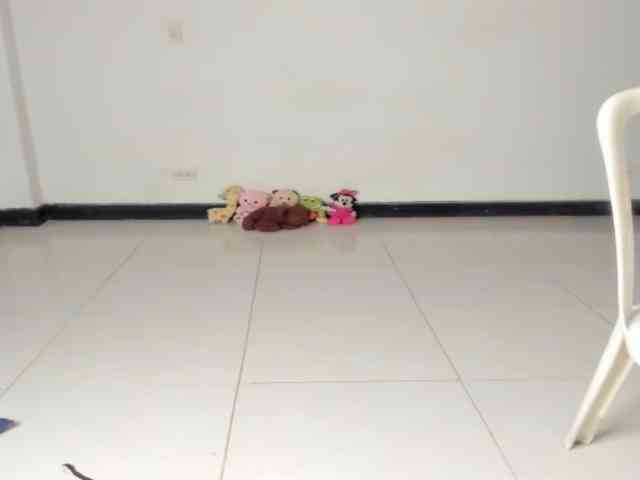 CarolinnaGomez webcam