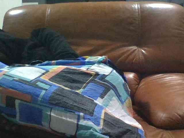 Brenda8824 webcam