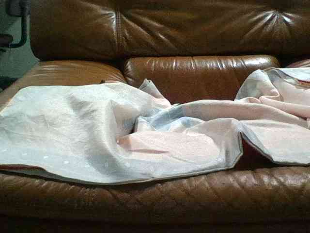 Brenda8824 webcam