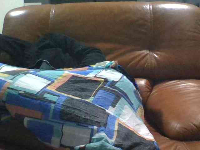 Brenda8824 webcam