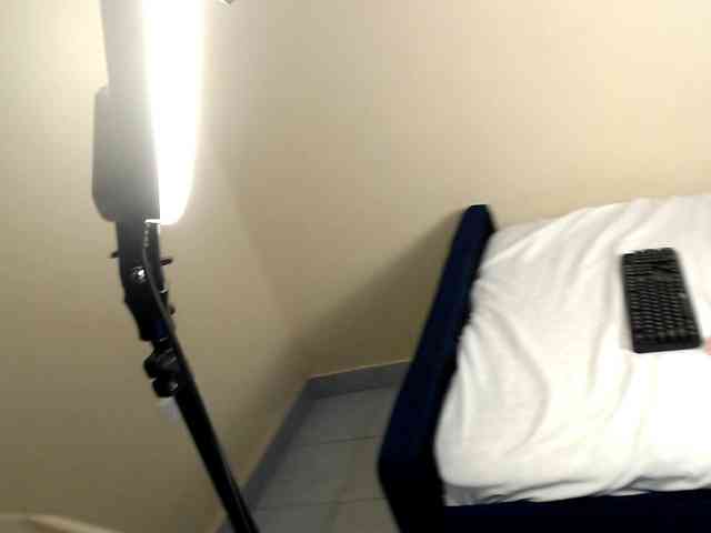 Royal309 webcam