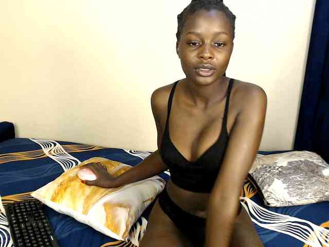 Royal309 webcam