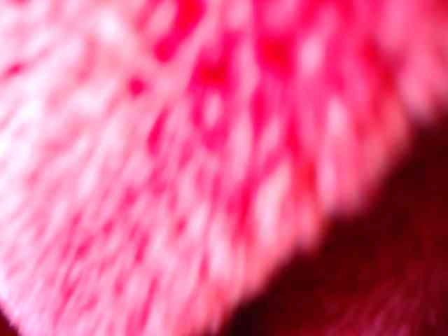 NAUGHTYKITTY2 webcam