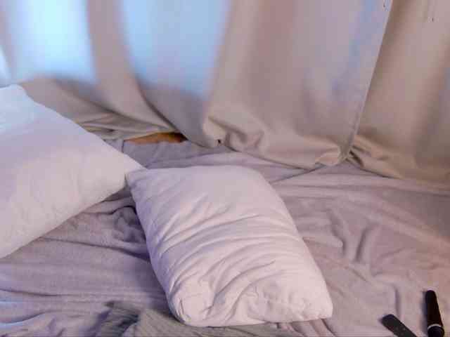 Ashley-Nicks webcam