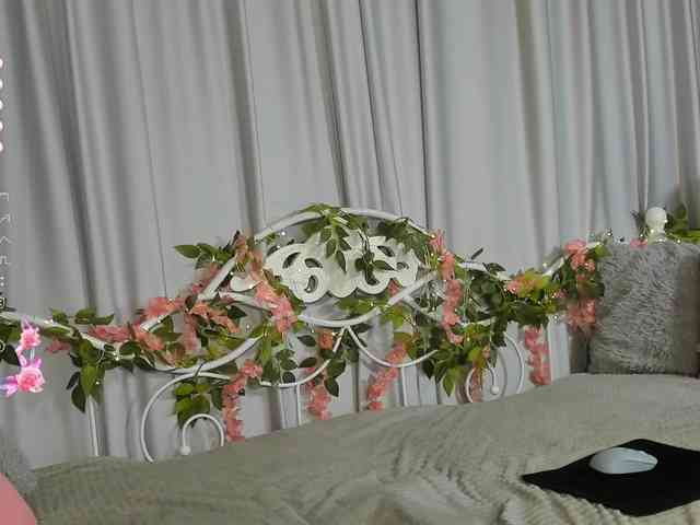 Ashley-Nicks webcam
