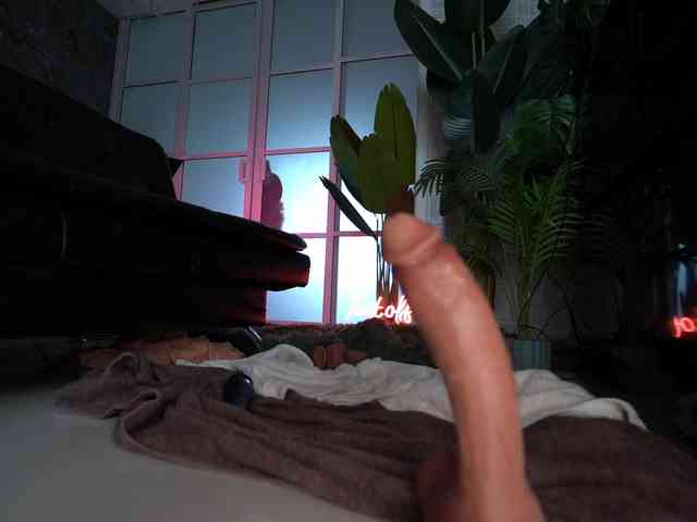 delpogorlo delpogorlo