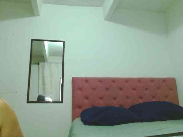 VenusWood webcam