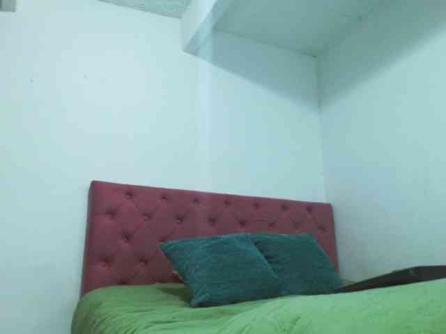 VenusWood webcam
