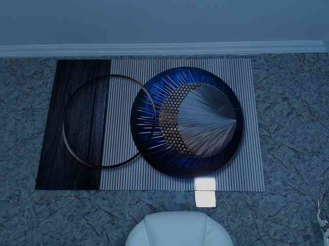Octaviarouse webcam