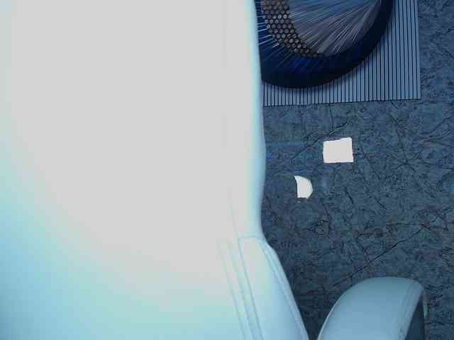 Octaviarouse webcam