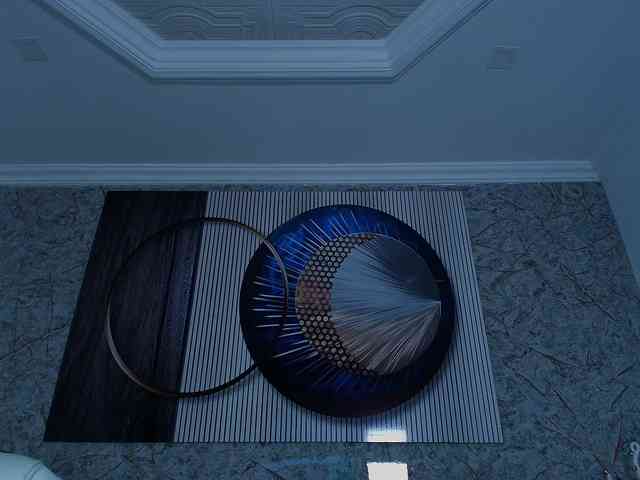 Octaviarouse webcam