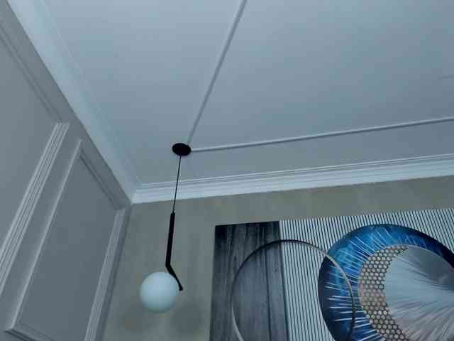 Octaviarouse webcam