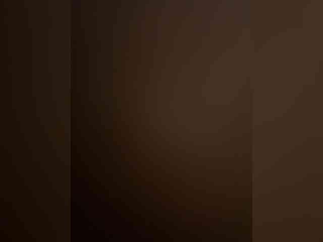 Amin-aa webcam