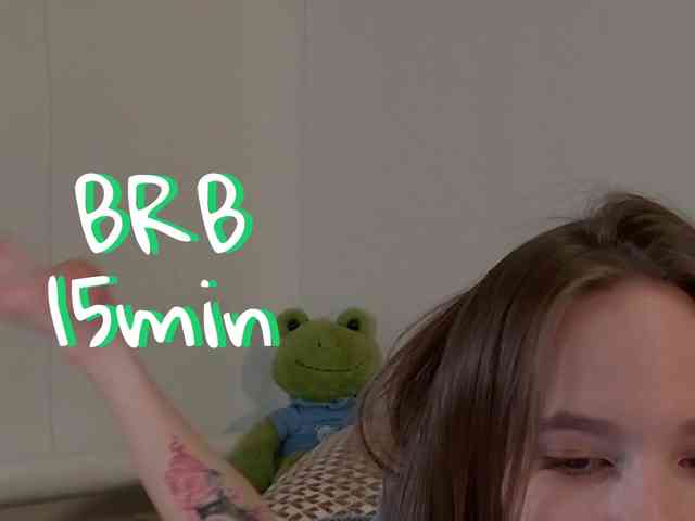 Zelilo webcam