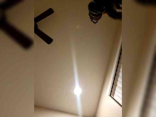 SavvyAndKay webcam