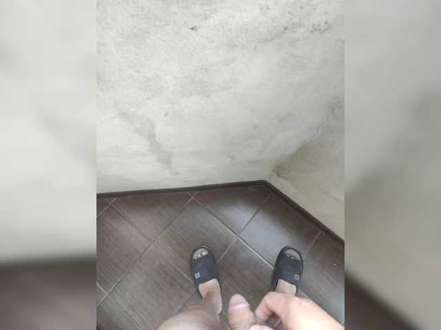 Baks2310