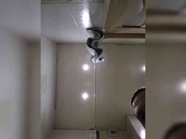 DimaPsix1989 DimaPsix1989