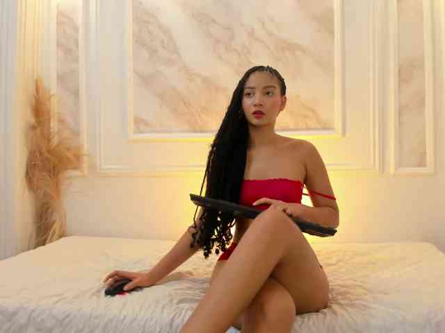 Chanel-13 webcam