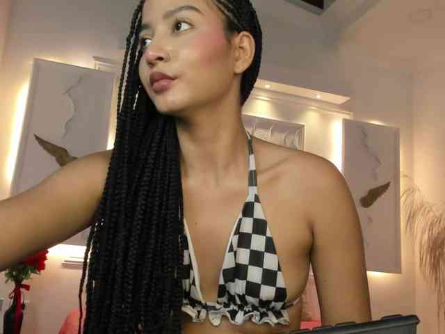 Chanel-13 webcam