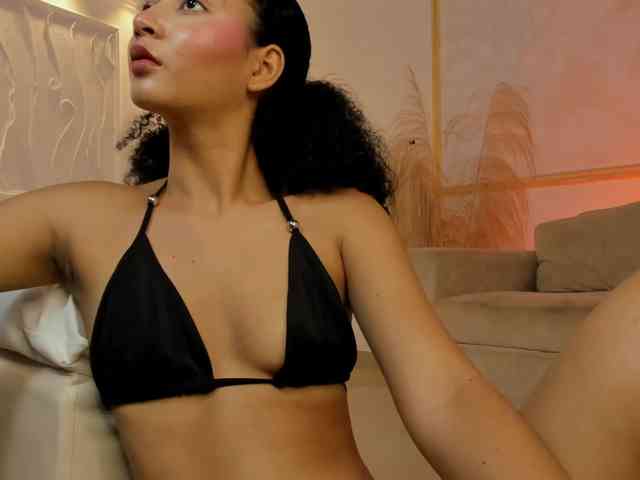 Chanel-13 webcam