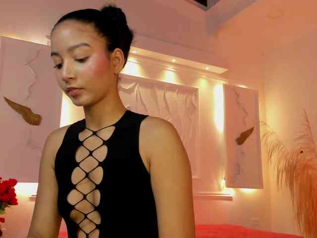 Chanel-13 webcam