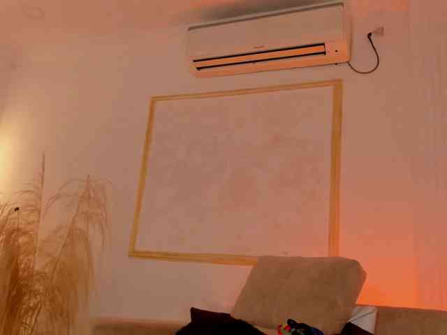 Chanel-13 webcam