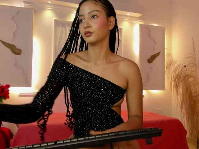 Chanel-13 webcam