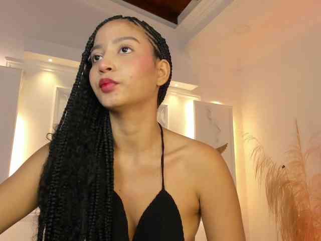 Chanel-13 webcam