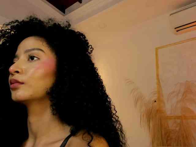 Chanel-13 webcam