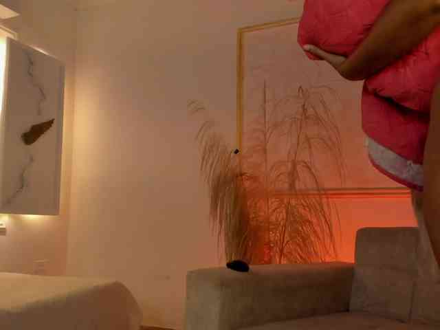 Chanel-13 webcam