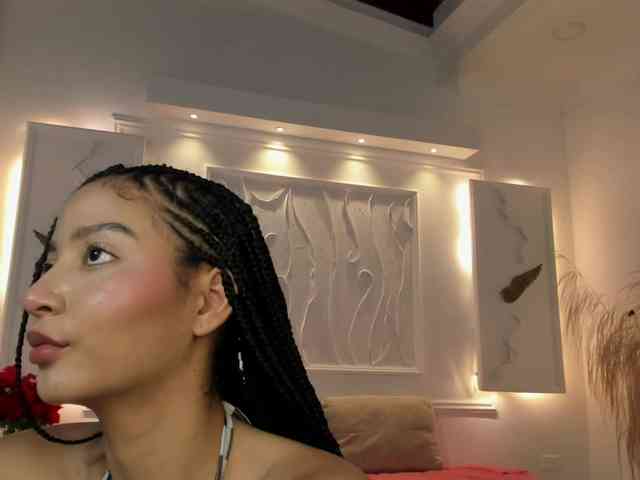 Chanel-13 webcam