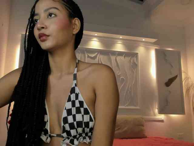 Chanel-13 webcam