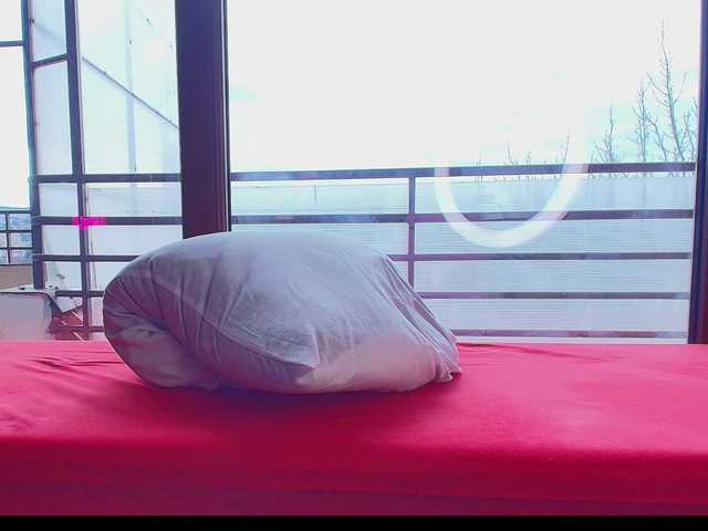 perfect-moans's BongaCams show and profile