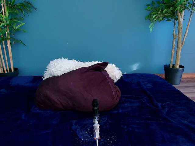 perfect-moans's BongaCams show and profile