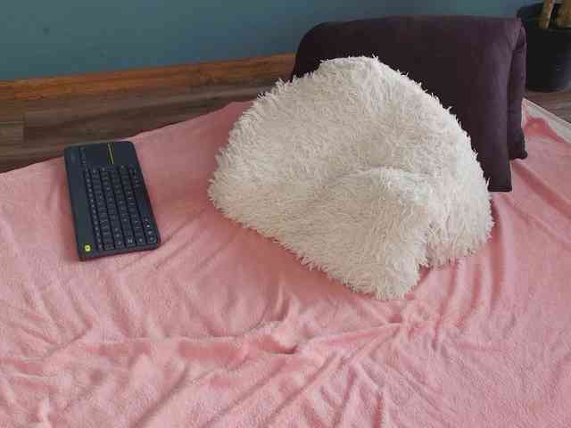 perfect-moans webcam