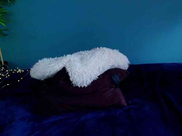 perfect-moans webcam