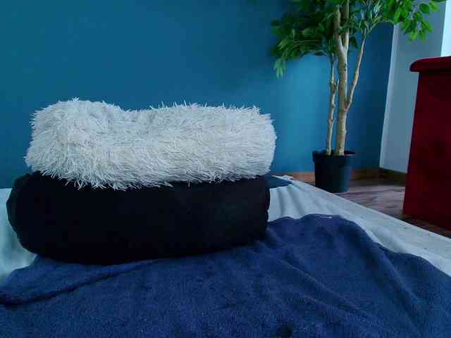 perfect-moans perfect-moans