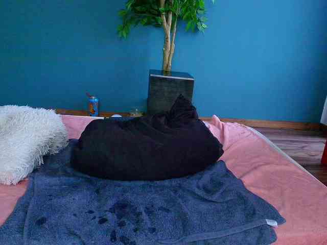 perfect-moans webcam