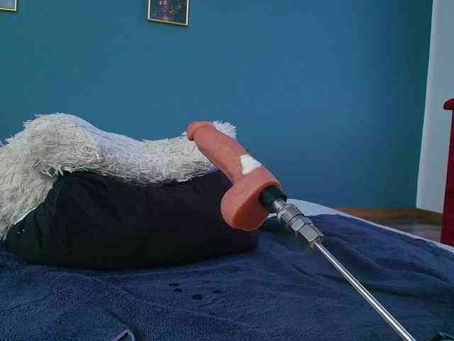 perfect-moans webcam