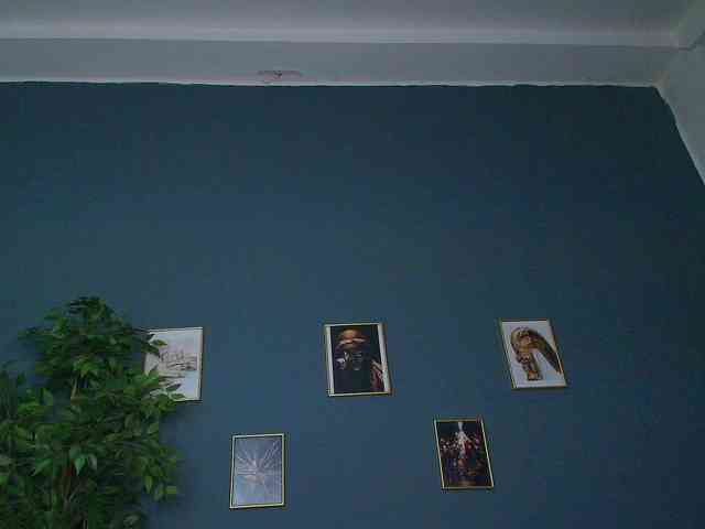 perfect-moans webcam