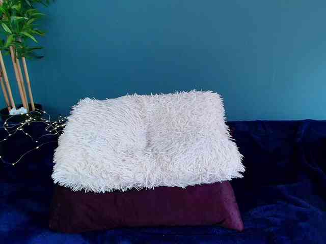 perfect-moans webcam