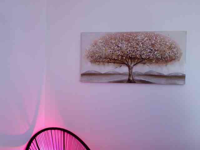 perfect-moans webcam