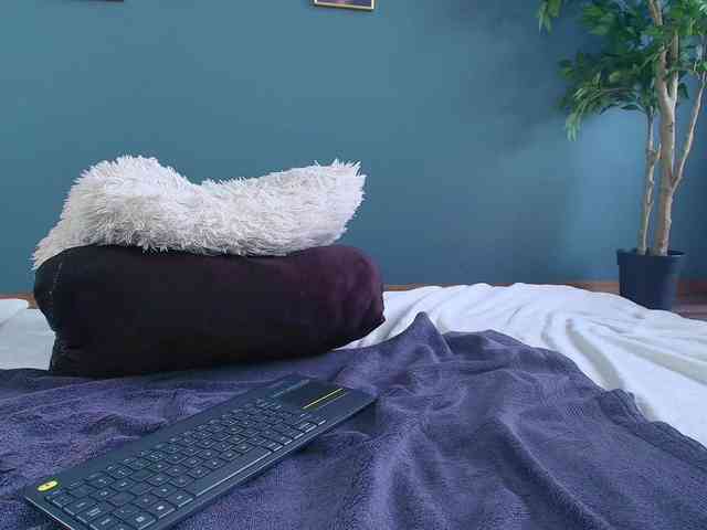 perfect-moans webcam