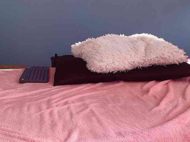 perfect-moans webcam